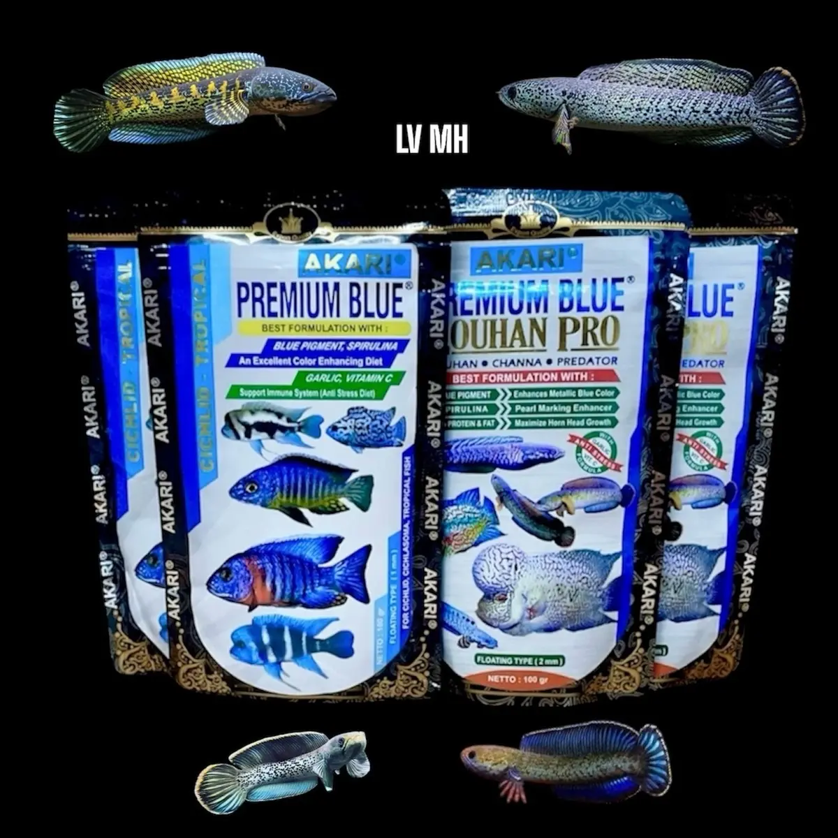 Cám Akari Blue Hỗ Trợ Sắc Tố Xanh Dương Cho tất cả cá Lóc Lạnh-hoàng đế - nữ hoàng - andrao -pháo …