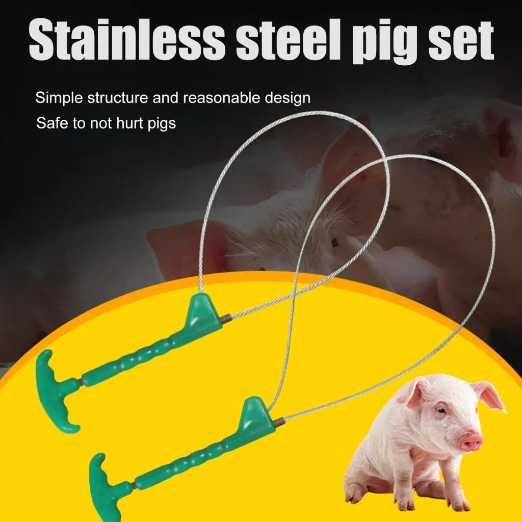 kitesiy Stainless Steel Piggy Catcher Time-saving Rust-proof Stainless Steel Piggy Catcher Stainless Snare Pig Catcher for Farmer Dirt-proof
