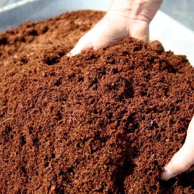 combo 10 Viên Nén Mụn Xơ Dừa Ép Hình Vuông Trồng Cây - dinh dưỡng cho cây trồng 4