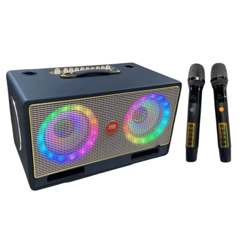 Loa xách tay 2 bass 20-6 đường tiếng có đèn nháy theo nhạc K18 Echo Delay Reverb 0