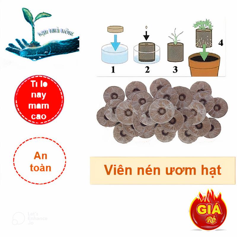 Viên nén ươm hạt giống kích nảy mầm - Tỉ lệ nảy mầm cao, Cây non to khoẻ