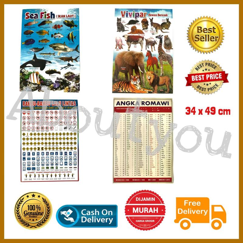PROMO POSTER Pendidikan Anak Pajangan Dinding Hewan Rambu Poster Angka ...