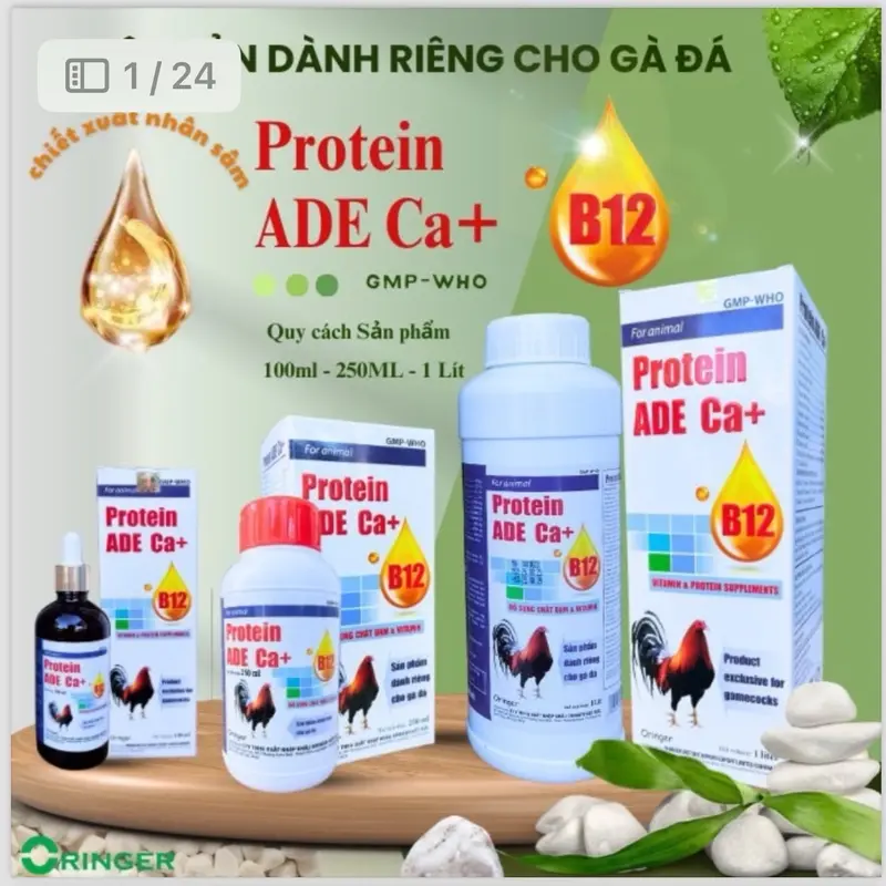 Protein ADE Ca+B12 (100ml) uống nuôi dùng cho đá, mau lên cơ, tăng bo, lì đòn, hừng hực, sung , tăng đề kháng  vào chế độ tốt.  nuôi tổng hợp cho gà tơ xung căng 3