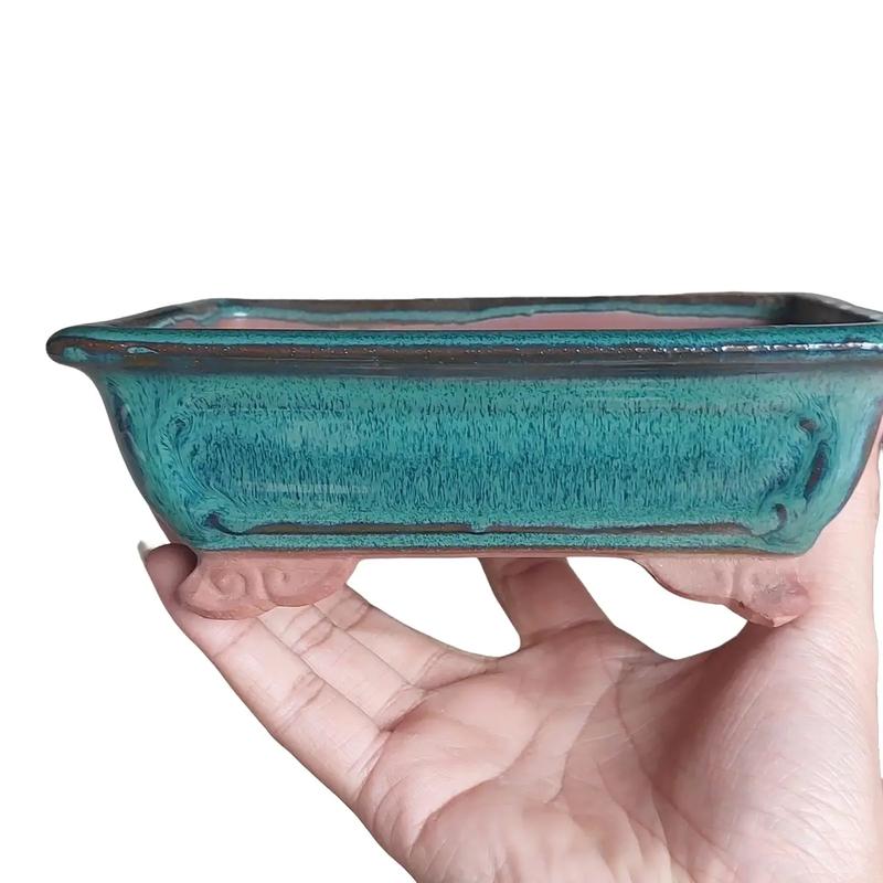 Chậu chữ nhật xanh trồng bonsai mini