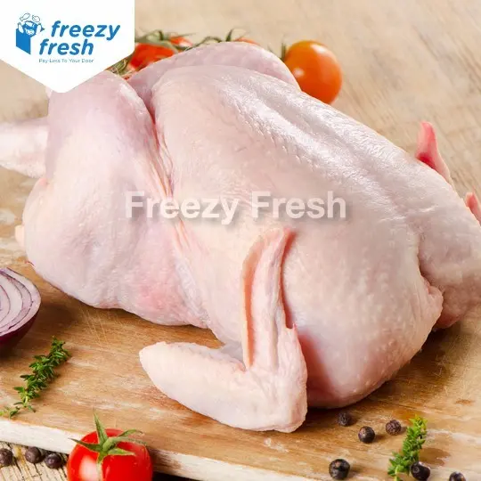 Daging Ayam Broiler Premium per ekor