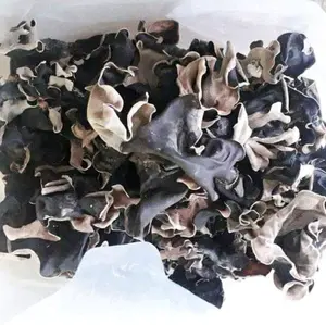 jamur kuping kering super 100gram