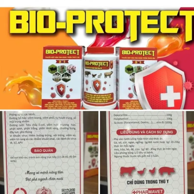 BIO-PROTECT THUỐC PHÒNG VÀ ĐIỀU TRỊ BỆNH CHO VẬT NUÔI gói (100g) viêm phổi và thương hàn, tụ huyết trùng, crd, tiêu chảy, viểm ruột, e coli, sỗ mũi nhiễm trùng, phân xanh trắng, chướng bụng, đầy hơi 5