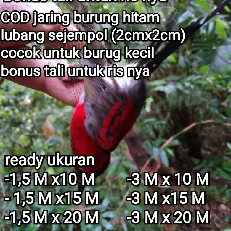 jaring burung hitam untuk burung kecil seperti emprit, pipit,  pleci dll ukuran tinggal pilih cocok dijual lagi