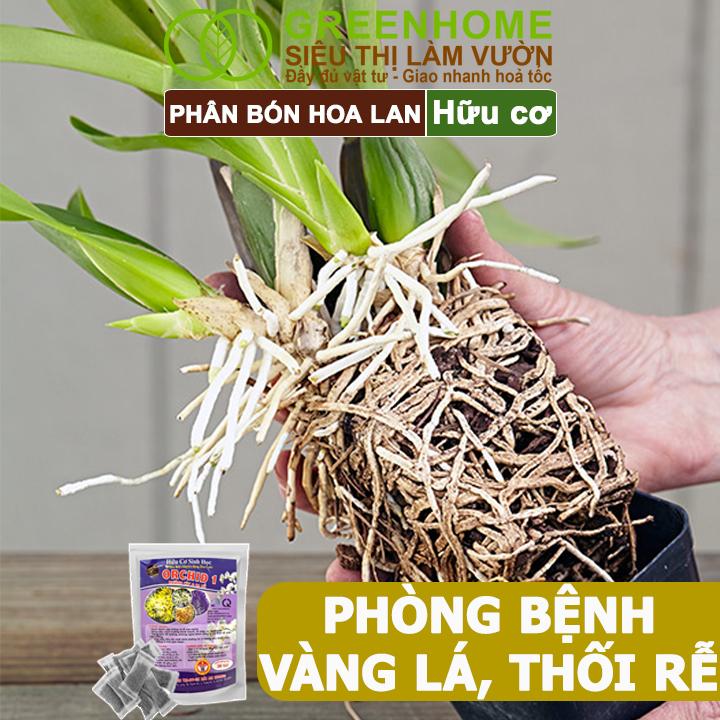 Product Introduction of Phân Bón Lan Greenhome, 1 Tép, Túi Lưới, Tan Chậm, Không Mùi Hôi, Dưỡng Lan Ra Rễ, Xanh Tốt, Dùng Tốt Cho Sen Đá, Kiểng 38