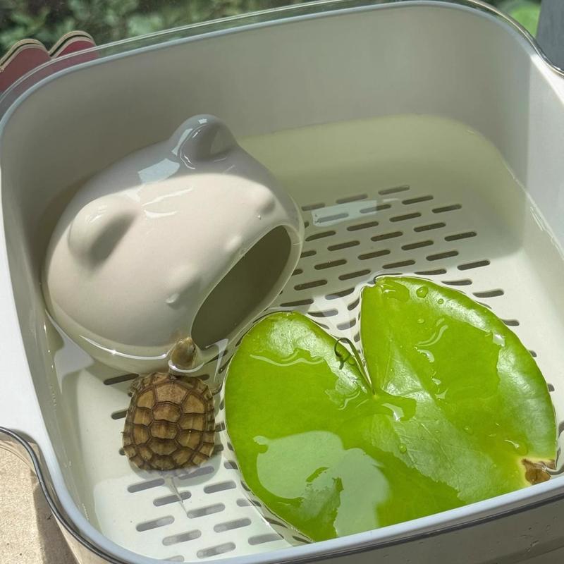 Bể Cho Ăn Rùa, Nhà Trú Ẩn, Để Sử Dụng Trong Gia Đình, Phòng Khách Và Ký Túc Xá, Bàn Phơi Cho Rùa Brazil Nhỏ Bể Cá, Thoát Nước, Thuận Tiện, 2024 3