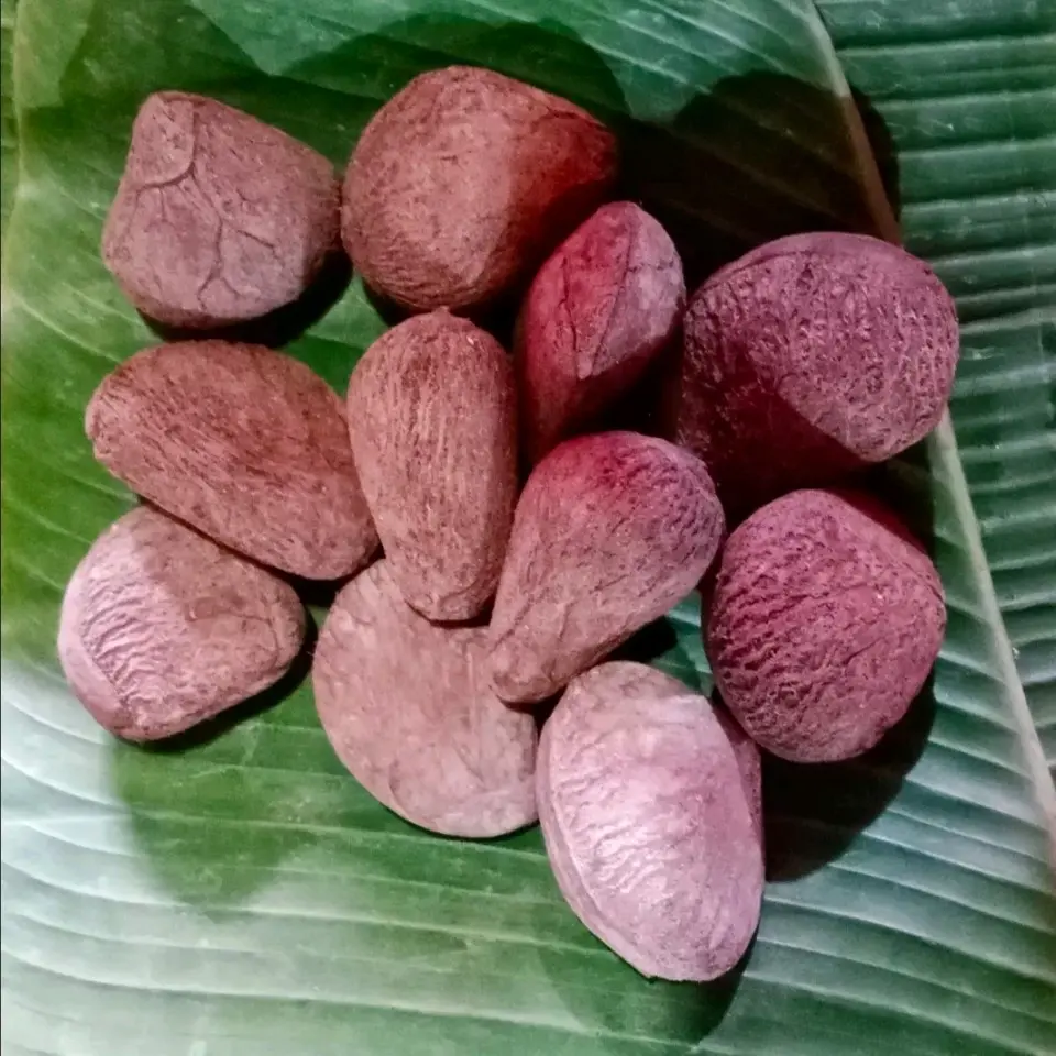 keluwek picung super isi (10 biji)