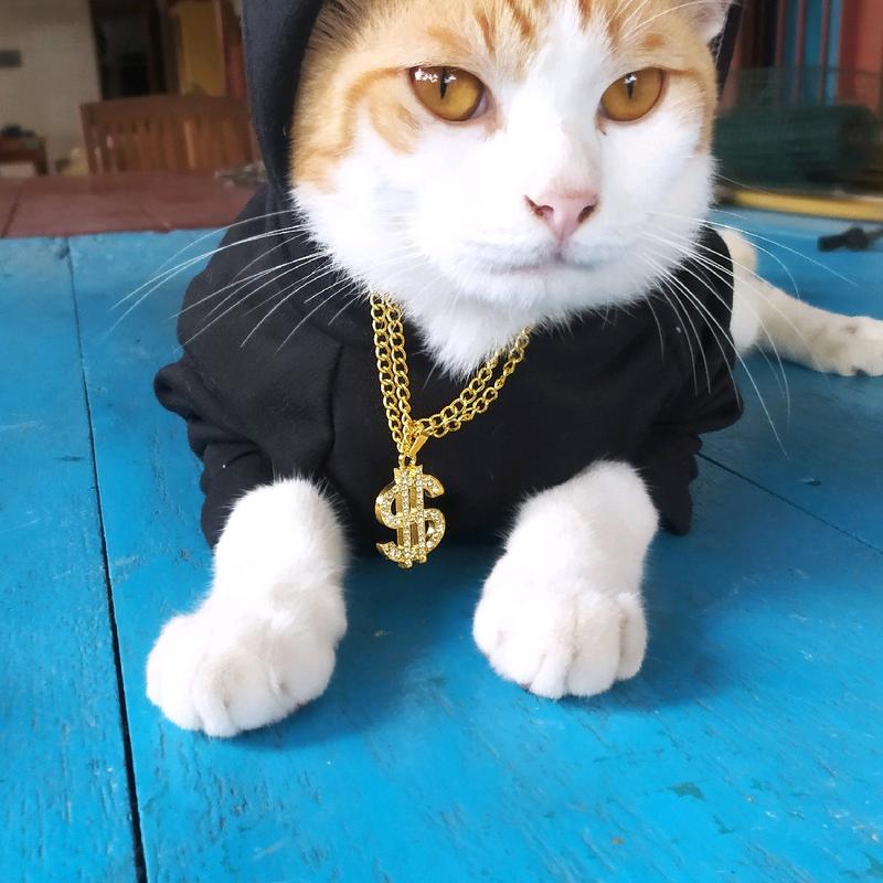 kalung kucing kalung hewan kalung anjing rantai logam warna emas liontin dollar kalungkucing nama 1