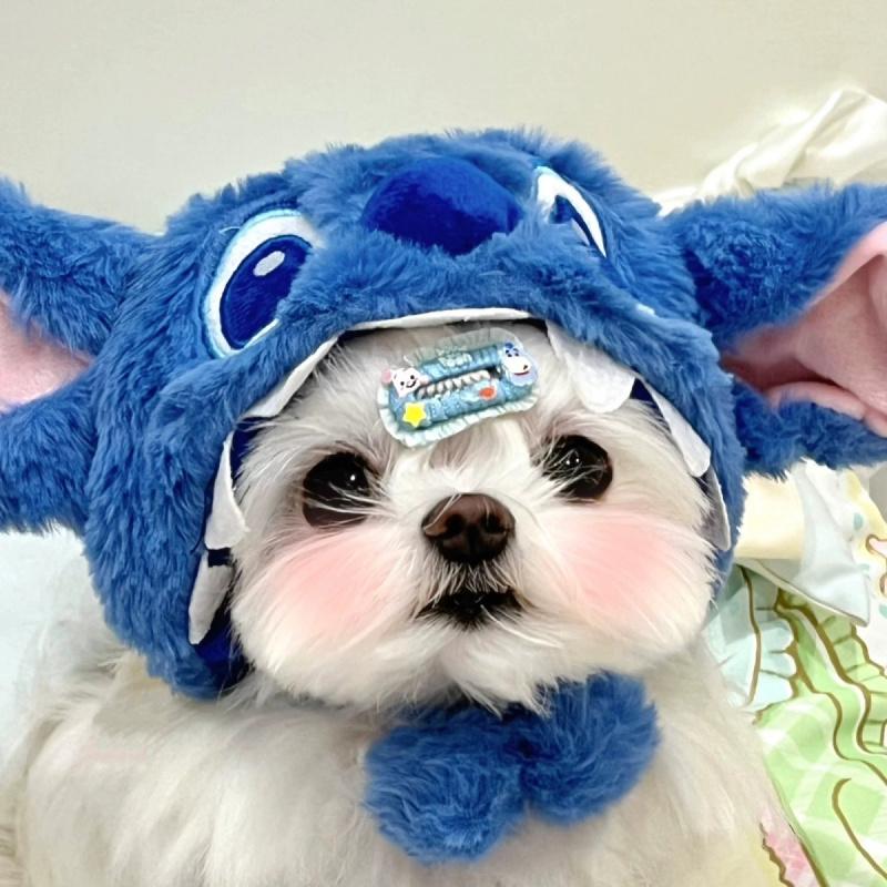 Maltese Headgear Stitch Hat Stitch Funny Disguise Cap Pet Puppy Cat Cute Headwear 3