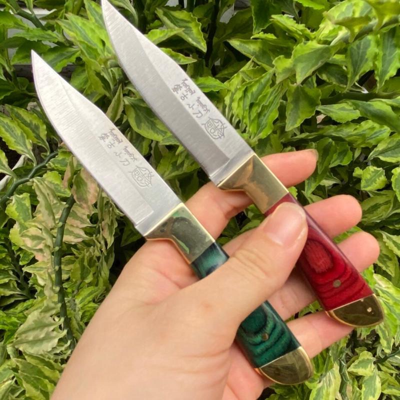 Dao bếp gọt trái cây 16,5cm 2