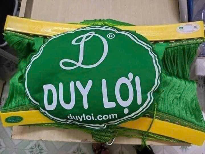 Product Introduction of Lưới võng Duy Lợi cao cấp chưa gồm khung 3