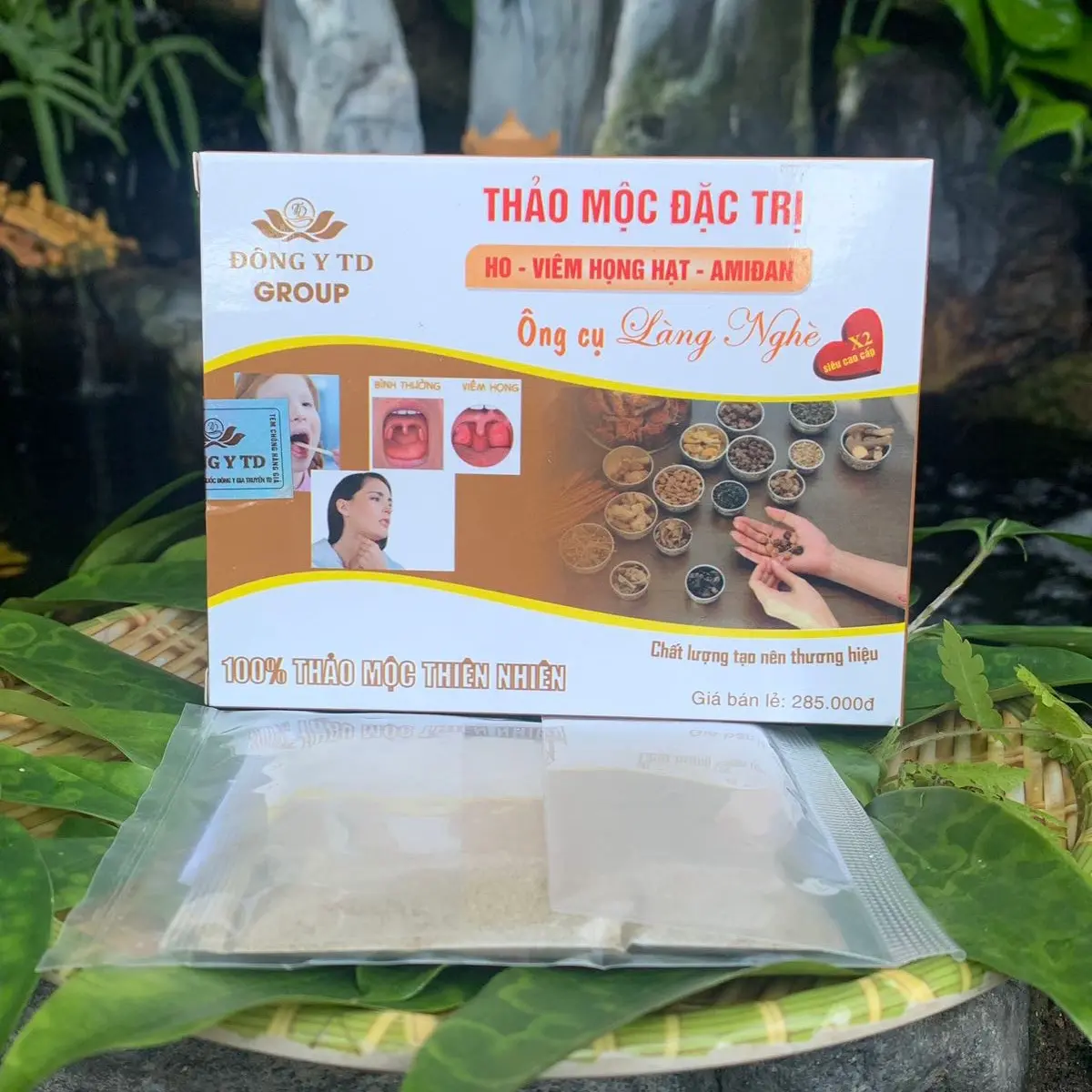 Thảo mộc ngậm họng,Ho_Amiđan ông cụ làng nghè
