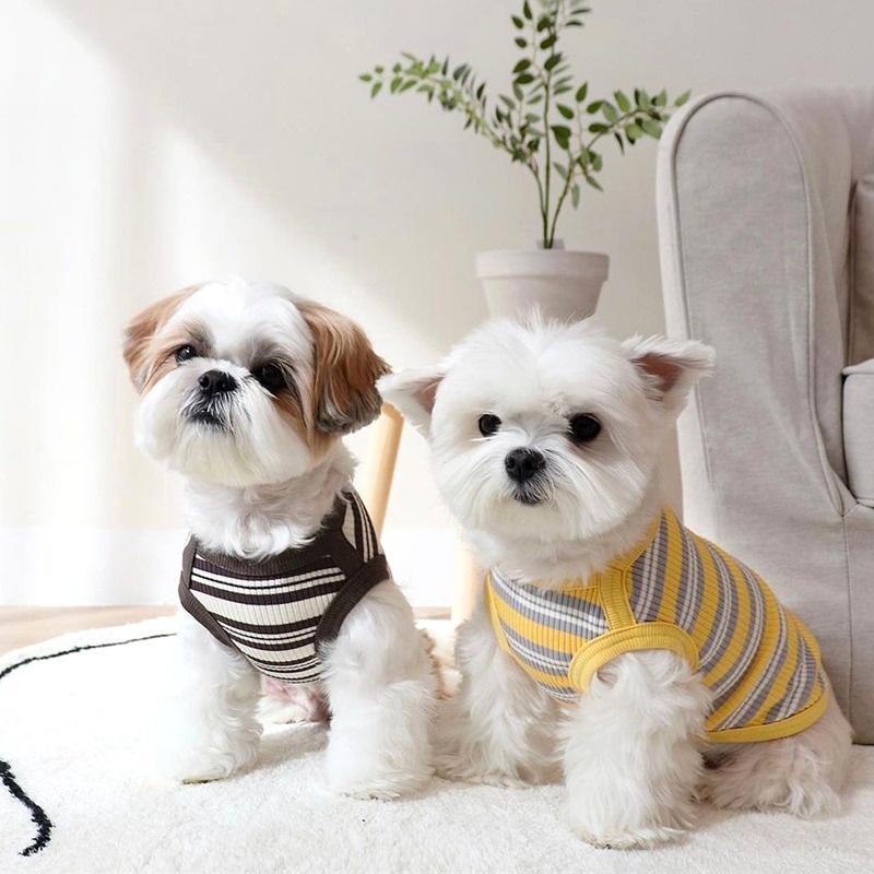 Product Introduction of Rompi Berkait Berjalur Beruang Teddy, Nipis Musim Panas, Sesuai untuk Anjing dan Kucing Bersaiz Kecil dan Sederhana, Pakaian Haiwan Peliharaan, Teddy Bear, Pakaian Anjing 33