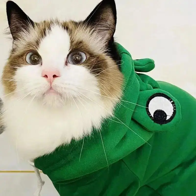 Quần áo cho chó bằng bông, ấm áp mùa đông, áo khoác cho chó hình chú ếch, thích hợp cho cosplay Halloween, quần áo cho thú cưng, áo Nỉ có mũ cho chó 3