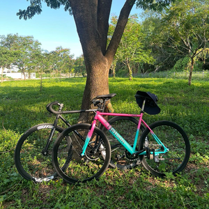 Xe đạp Fixed Gear Thuận Minh
