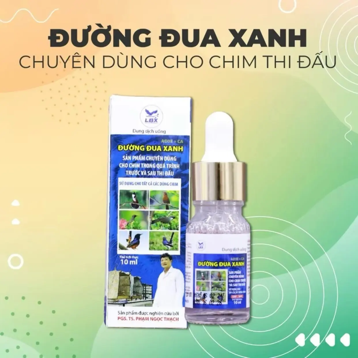 Đường Đua Xanh LBX - Cung Cấp Duy Trì Thể Lực Trong Quá Trình Thi Đấu - Sản Phẩm Hỗ Trợ Các Loại Chim Cảnh - Chai 10ml vitamin tổng kich bôi nước tăng