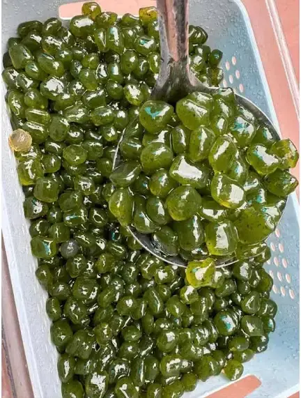 Product Introduction of Trân Châu 3Q Olong OK Giòn Không Cần Nấu Túi 2kg Thạch Dai Chuẩn Vị Đài Nguyên Liệu Lá Trà - Tiệm của Bee Beekit 14