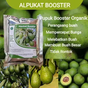 pupuk pelebat buah dan anti rontok alpukat organik booster alpukat agar cepat berbuah lebat besar
