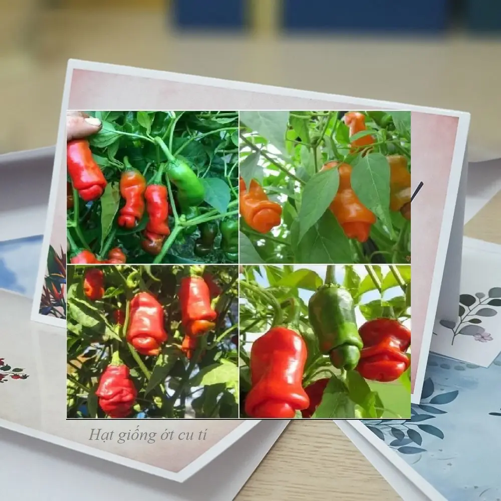 Hạt giống ớt cu tí - 10 hạt/gói