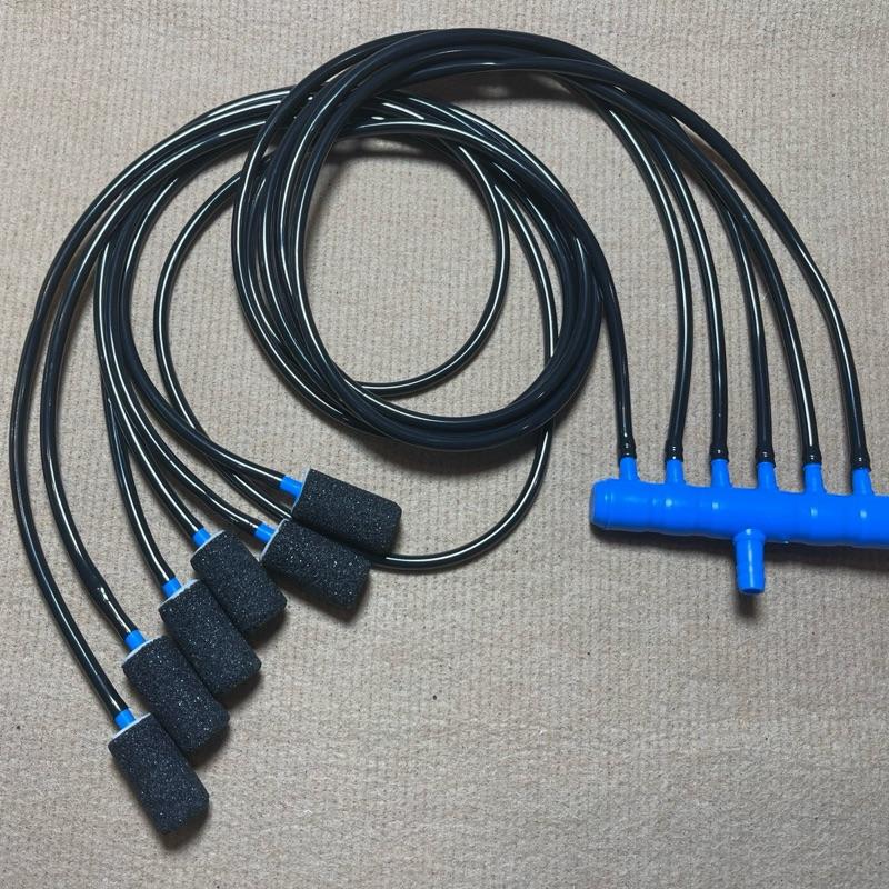 Bộ dây sủi oxy tôm, cá 6 vòi
