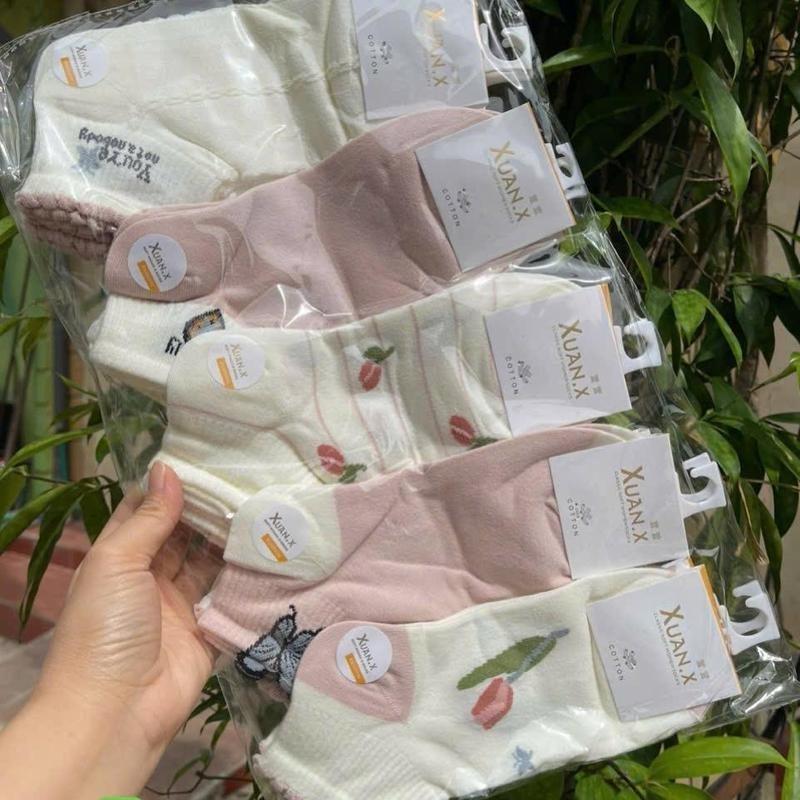 Set 10 đôi tất nữ cổ ngắn dệt kim in hoạ tiết dễ thương thời trang tất vớ nữ cotton thấm hút mồ hôi mẫu mới tat  gaucoca 2