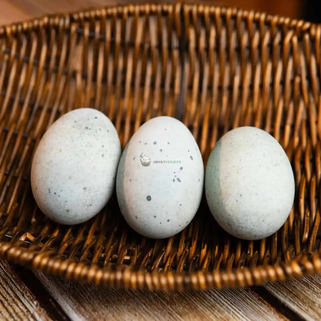 Century Egg IWantVeggies (PCS)