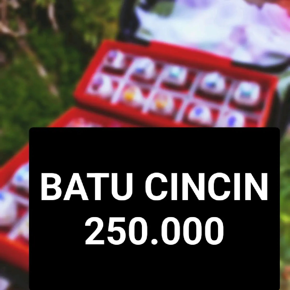 batu cincin 250.000