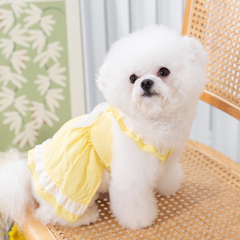 Summer Cute Bow Lace Strap Slim Dress Teddy Pet Dog Cat Clothes 4