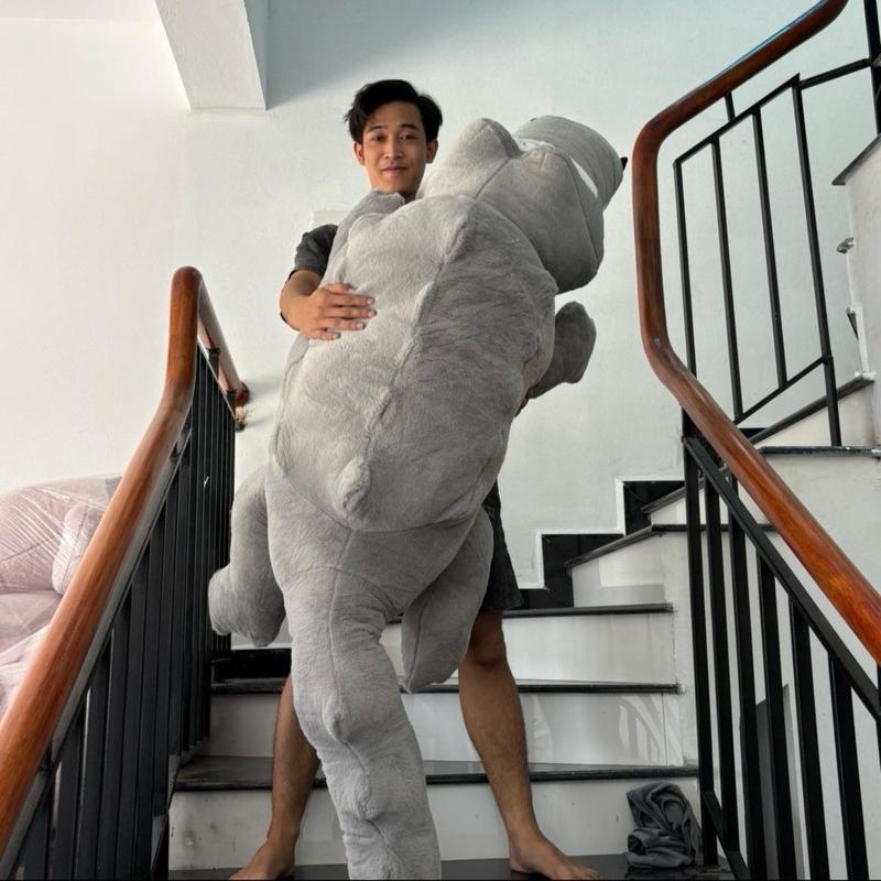 CÁ XẤU LÔNG XÙ MỀM MẠI 3 MÀU XANH XÁM HỒNG SIÊU XINH HANG CHUAN Q C C  C Thú Bông Thú Nhồi Bông