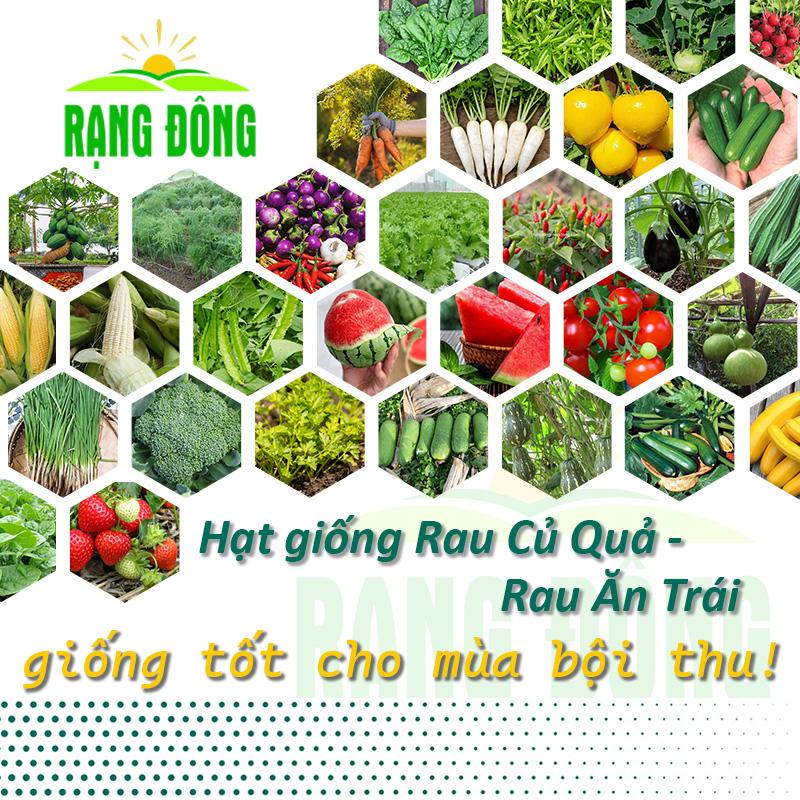 Hạt giống Rau Củ Quả nảy mầm tốt, năng suất cao, sinh trưởng khỏe, trồng quanh năm - Hạt giống Rạng Đông