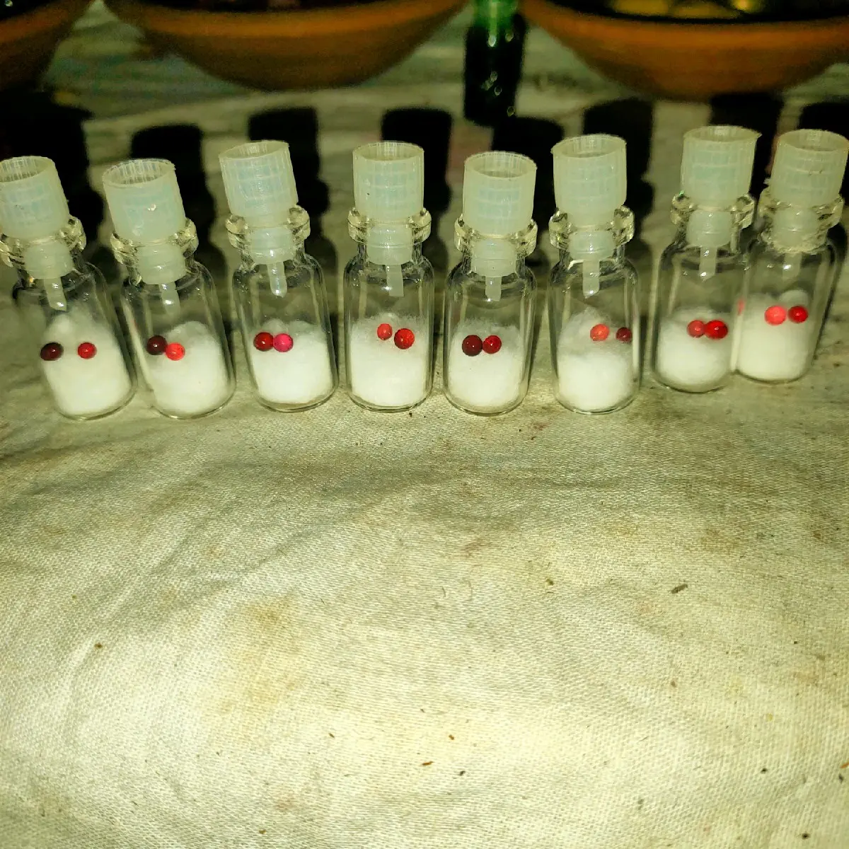 Batu Geliga lipan super istimewa