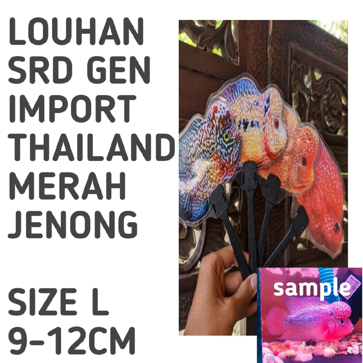 kipas wayang anti air Louhan Srd size L