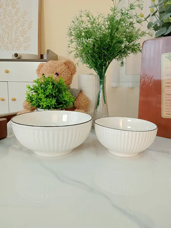 Bộ Bát Đĩa Trắng Kẻ Đen Cao Cấp 22 Chi Tiết Đã bao gồm tặng 2 Bát  Và  Đĩa Hình Con Cá Mới 5