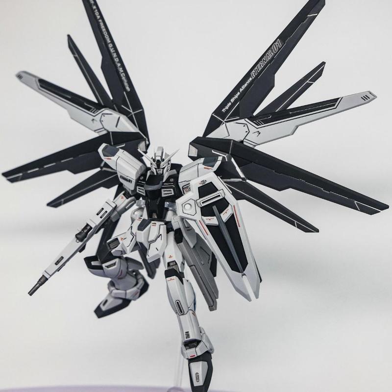 Mô hình lắp ráp Robot Gun-dam HG 1/144 Freedom (Đen)  đồ chơi Toy (Tặng Base) Bộ Lắp Ráp Tháo Lắp