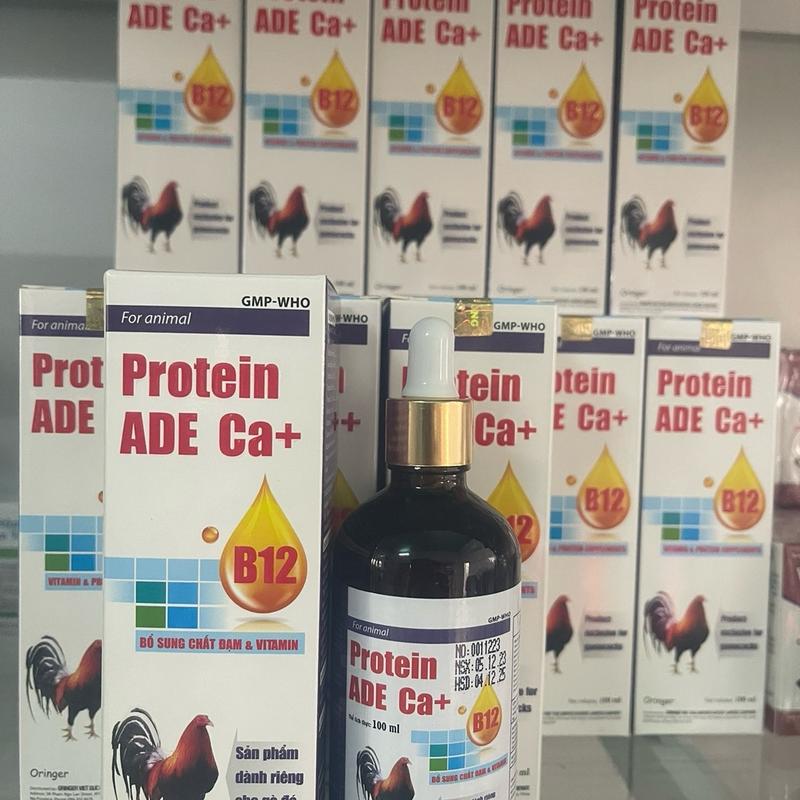  Protein ADE Ca+ B12 chai 100ml dinh dưỡng nuôi chiến kê nở cơ lên nước máu sung khỏe  thuốc bổ dinh dưỡng thú cưng  