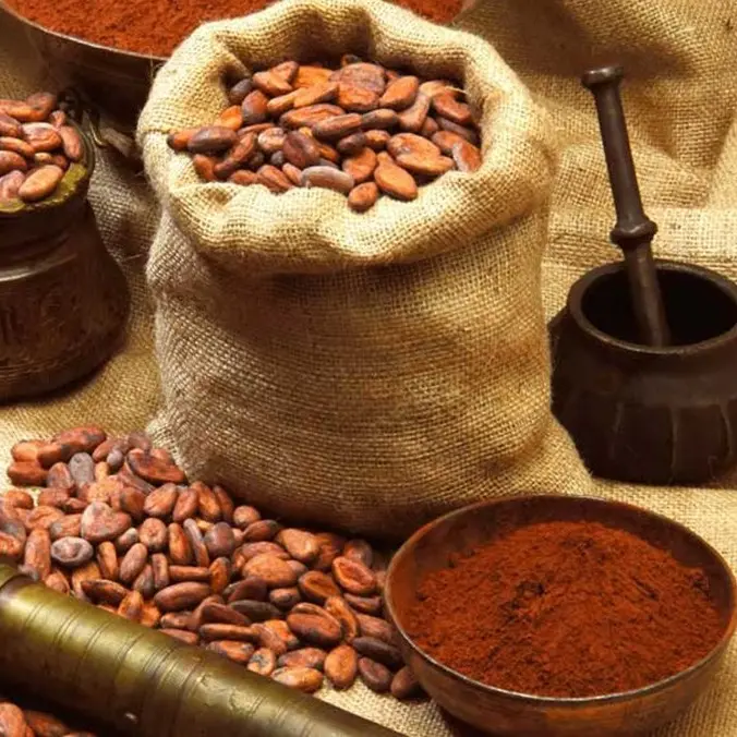 Bột Cacao Nguyên Chất Không Pha Bột Tây Nguyên - Ăn Vặt Api Food 3