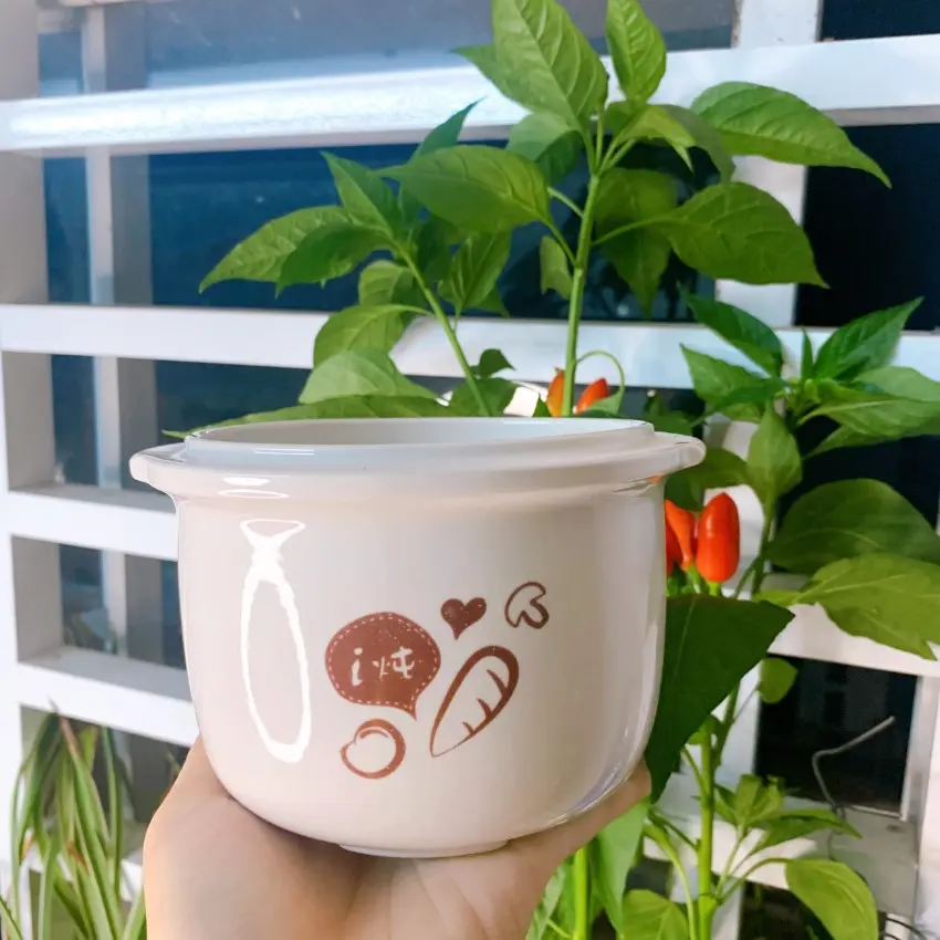 [Ko kèm nắp] Thân thố sứ nồi nấu cháo chậm Bear 0.8L