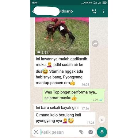 JAMU PYONGYANG VVIP PAKET 2 BOTOL 7