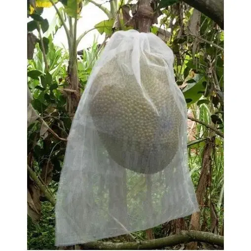 50 Túi Bao Trái Mít 50cm x 70cm - Lưới mùng dai carô 0
