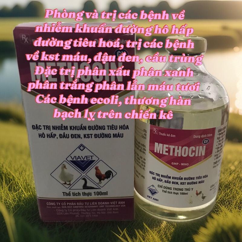  METHOCIN 100ml trị nhiễm khuẩn đường hô hấp đường tiêu hoá đường ruột trị bệnh đầu đen cầu trùng phân lẫn máu  thuốc bổ dinh dưỡng cho gia súc gia cầm và thú thú cưng  