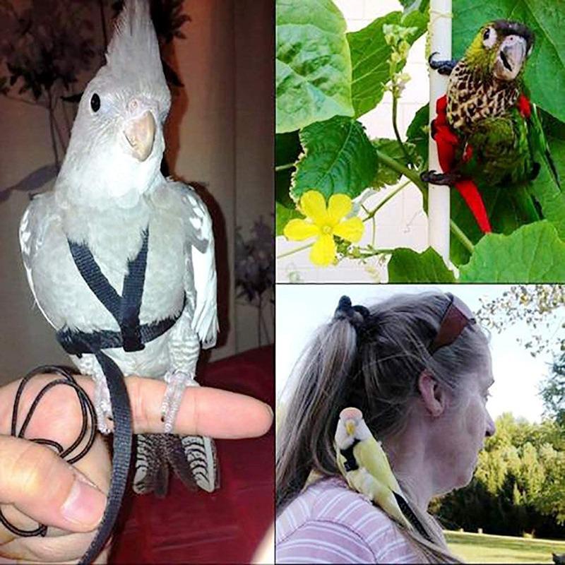 Product Introduction of 1PC Adjustable Birds Harness and Leash Parrot Harness Leash Training Supplies Pet Anti-bite Outdoor Flying Rope for Conures Budgerigar 18