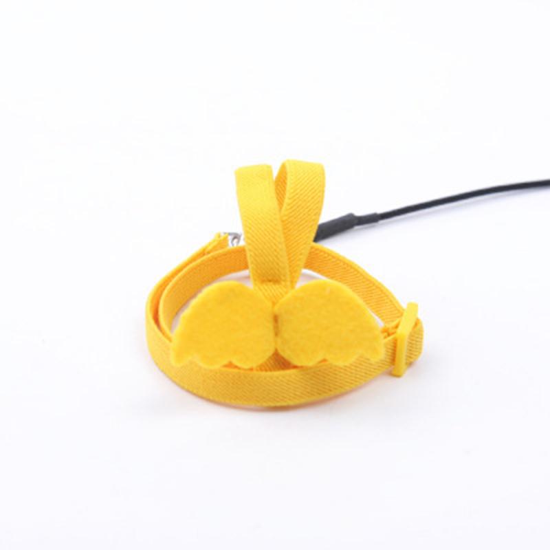 Product Introduction of Adjustable Outdoor Flight Training Rope Belt Parrot Traction Rope 23