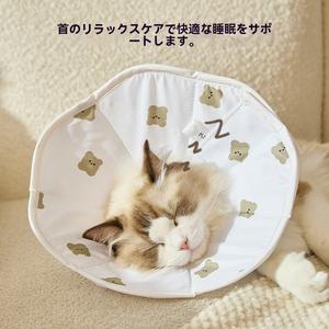 ペットの首輪の猫エリザベスの首輪の漫画のクマのプリントの犬の首輪の中性の抗舐めフード