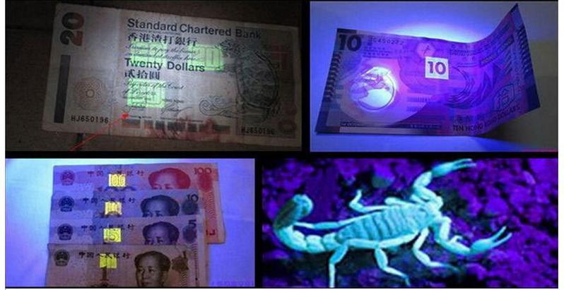 Product Introduction of Lampu Suluh UV Obor Ultraviolet 21LED UV395 Pengesahan Wang Kertas Dalam Stok Obor Cahaya Ungu 2