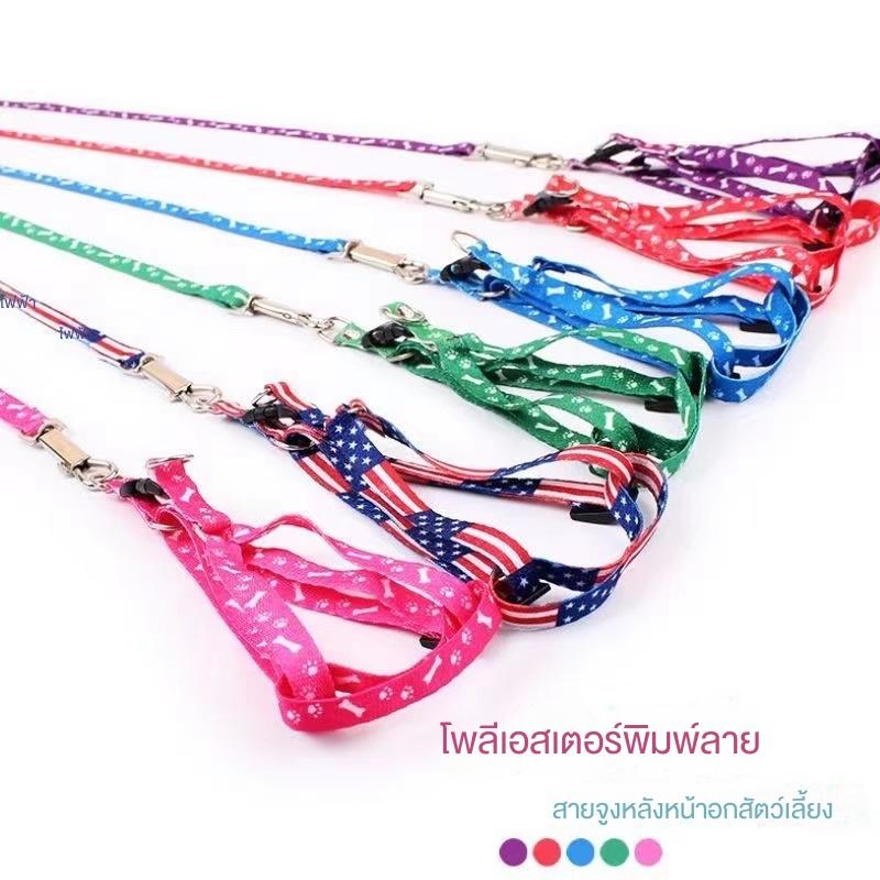Xích Mèo, In Xương, Dụng Cụ Hữu Ích Khi Đi Dạo  Chó,  Xích Chó Mèo Đặc Biệt,  Đai Nịt Thú Cưng, Đồ Dùng  Xích Mèo   xích  chó   chuyền    cún dây đeo cho 2
