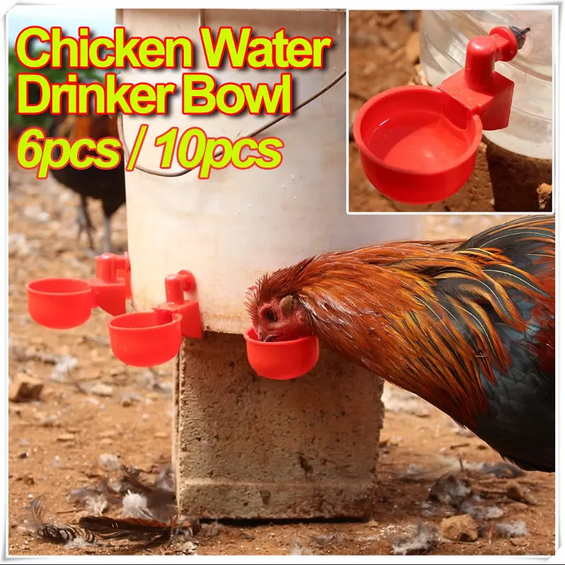 10PCS Chicken Cup Waterer Water Cups Automatic Waterer Cup Chicken Cup Waterer Chicken Feeder Poultry